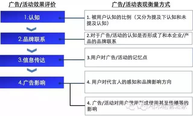 新澳门今晚必开一肖一特,用户需求分析与管理策略与实施