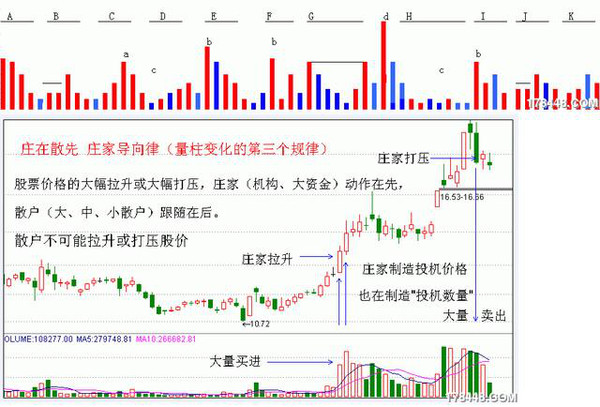 澳门今晚开特马四不像图,客户需求分析与管理实施详细方案