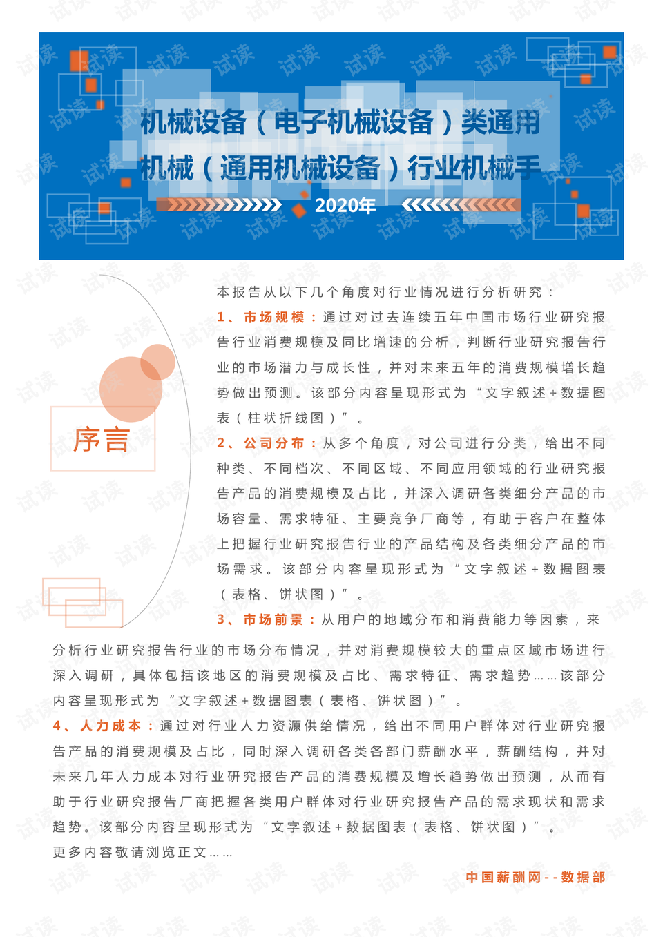 四不像正版 正版四不像,项目进度控制与报告实施方案