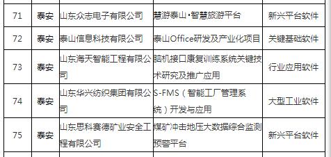 青岛滴滴政策最新消息,项目实施进度控制与管理方案