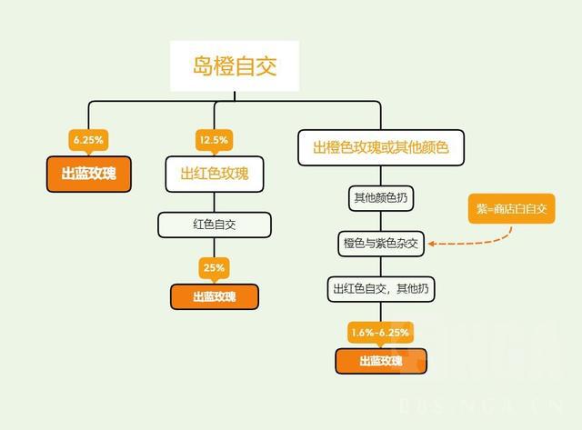 保定网约车最新消息,供应链效率优化方案与实施详细路径