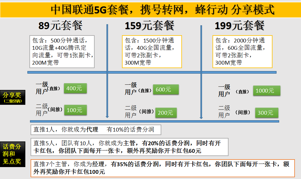 最新上海牌照拍卖流程,团队协作与沟通提升策略与路径