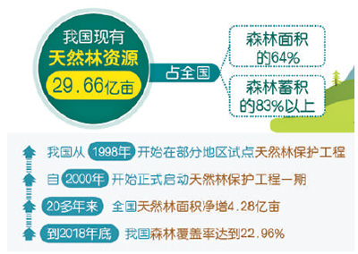 大众最新柴油机,客户满意度提升计划与实施方案