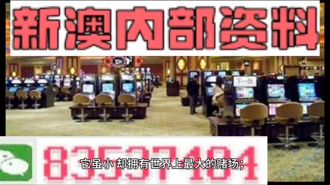 2024新澳精准正版资料,品牌形象设计与推广详细策略实施