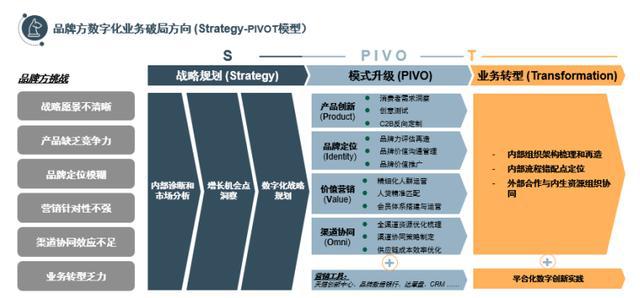 2024澳门精准正版免费大全,品牌市场定位分析与推广