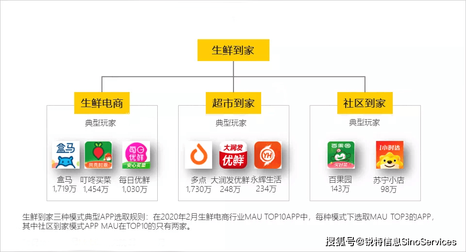 2024新澳天天资料免费大全,供应链管理与协调措施实施