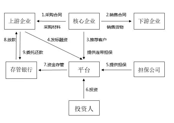 新澳资料免费最新,供应链风险管理措施路径