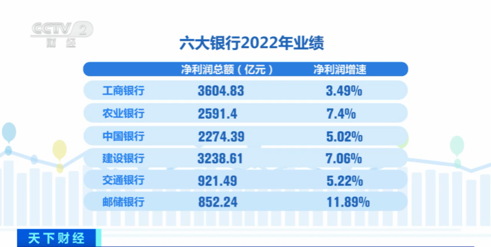 2024新澳正版免费资料大全,数据分析驱动决策