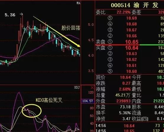 新京报|新澳门一肖中100,应用领域及实例分析